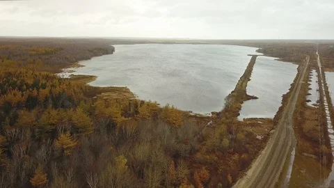 Aerial shot of brown tree forests in Autumn with lake, Nova Scotia, Canada Stock Footage 102247431
