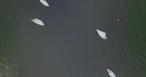 Aerial Shot Camera Down Over Sailboats Video stock 75927470
