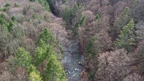 Aerial shot camera pans up over river or creek running through woods Stockbeeldmateriaal 306633262