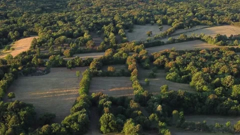 Aerial shot captures the interplay of sunlight and shadow over a patchwork Video stock 273044950