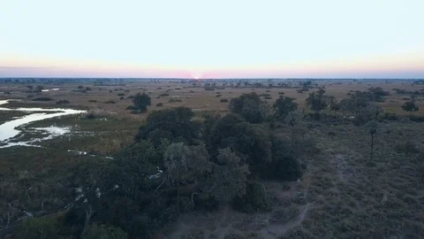 Aerial shot capturing dawn in the Okavango Delta flying over a clump of trees Stock Footage 80866580