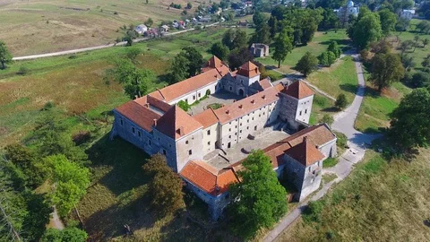 Aerial shot castle Stock Footage 111950902