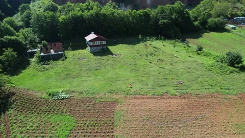 Aerial shot chalet Stock Footage 201630195