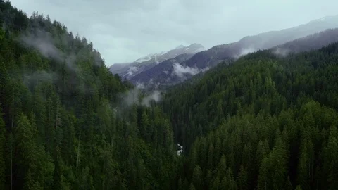 Aerial shot of cloud mountain top with forest Stock-Footage 102048904