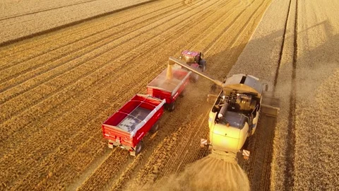 Aerial shot of combine harvester loading... | Stock Video | Pond5