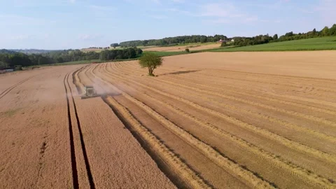 Aerial Shot of Combine Harvester in Wheat Field, Montmédy, France. Stock-Footage 295962753