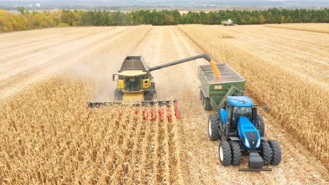 Aerial shot of combine loading off corn grains into tractor trailer Stock Footage 143471054