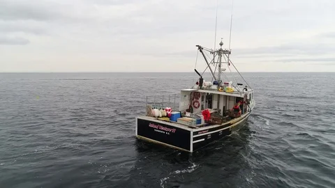 Commercial Fishing - Harvesting Fish at , Stock Video