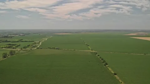 Aerial shot of corn fields Stock Footage 171566807