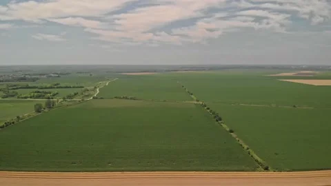Aerial shot of corn fields Stock Footage 171566813
