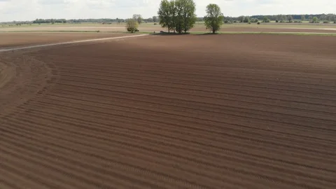 Aerial shot of crops with tractor Stock Footage 89901156