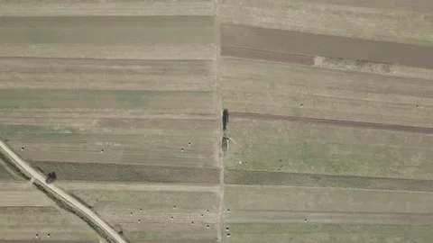 Aerial shot of cultivated fields Video stock 140402249