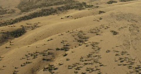 Aerial shot, day, sparse trees amid rolling arid plateau, drone Stock Footage 115433318