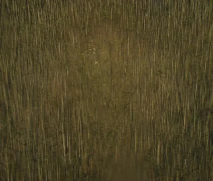 Aerial shot of dead trees Stock Footage 21486967