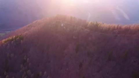 Aerial shot deciduous spring forest illuminated by the setting sun.Flying over 動画素材 191851493
