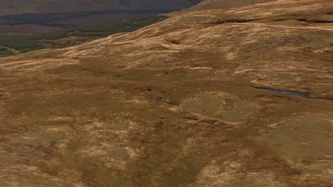 AERIAL SHOT OF DEER Stock Footage 125382197
