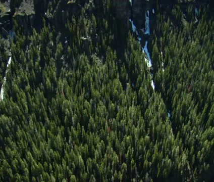 Aerial shot of dense pine forest and rocky side of mountain Stock Footage 21608158