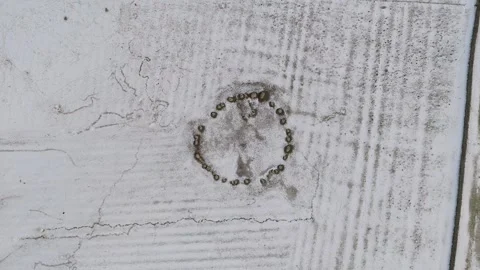 An aerial shot of a distinctive circular pattern on a textured Stone Circle. Stock Footage 297631115