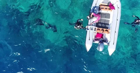 Aerial shot of divers at the surface next to a tropical paradise island Vídeo Stock 79091899
