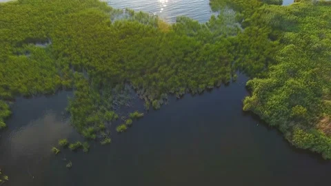 Aerial shot of the Dnipro basin looking like an inundated forest at sunset Stock Footage 87182927