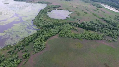 Aerial shot of the Dnipro basin with small lakes, meadows and wetland in summer Stock Footage 87985861