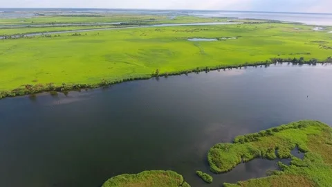 Aerial shot of the Dnipro basin with tiny islet and inflows with reed and blue w Stock Footage 87168649