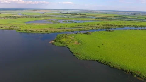 Aerial shot of the Dnipro with inflows, islets covered with green wetland in sum Stock Footage 87179580