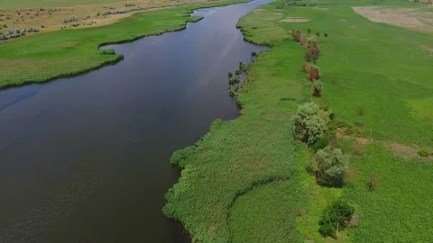 Aerial shot of the Dnipro shining waves and its banks with cane in summer Stock Footage 86848474