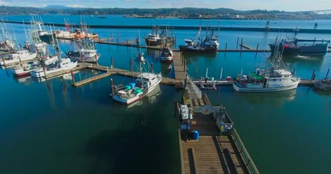 Aerial shot of a dock (Newport, OR) Stock Footage