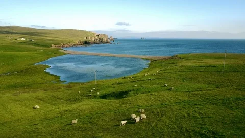 Aerial shot off the dramatic coast line of Shetland, Scotland, 库存影片 97804691
