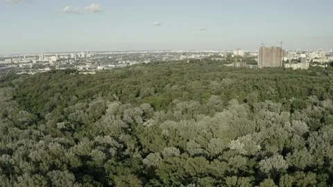 Aerial Shot drone view Span right above the forest above the treetops the camera Stock Footage 111908509