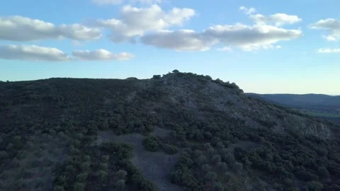 Aerial shot of ecological cornicabra-type olive groves on rocky mountains Stock Footage 169540227
