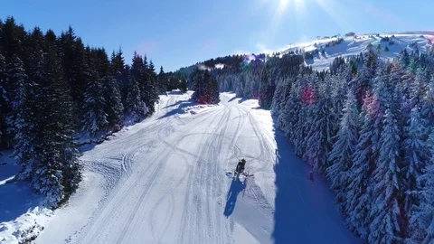 Aerial shot of an empty ski slope and pine forest Stock Footage 86113543