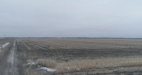 Aerial shot of endless fields - Fall - Day III Stock Footage 146492115