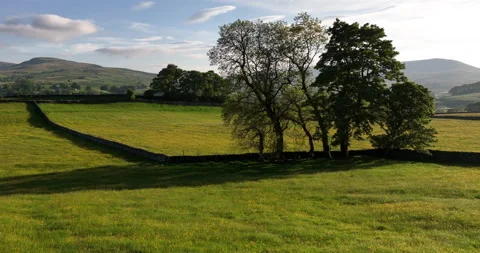 Aerial shot of English countryside on a summer evening Stock Footage 205068299