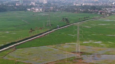 Aerial shot of expansive green fields Video stock 339857123