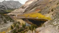 Aerial Shot Of Fall Aspen Grove By Alpine Lake In High Sierra -Follow- Stock Footage