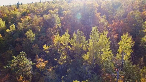 Aerial Shot - Fall Colors - Duluth Minnesota Stock Footage 88687745