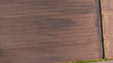 Aerial shot, fall landscape, flying above fields Stock Footage 79701267