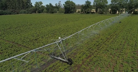 Aerial shot of field Stock Footage 124853178