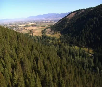 Aerial shot of fields and forests Stock Footage 21484835