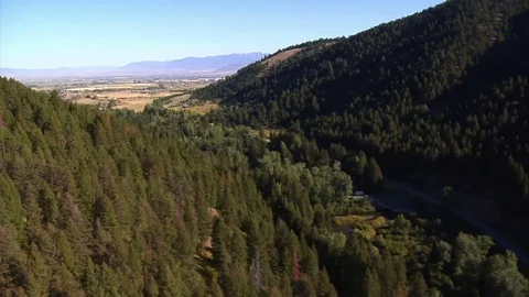 Aerial shot of fields and forests with dead trees Stock Footage 75098019