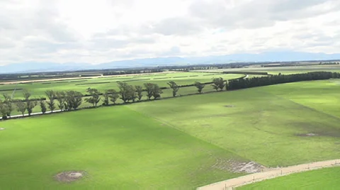 Aerial Shot of fields and trees Stock Footage 34252854