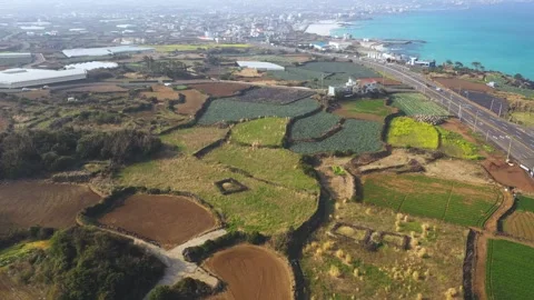 Aerial shot of fields, beach and seaside village,Jeju Island,South Korea Stock Footage 245953626
