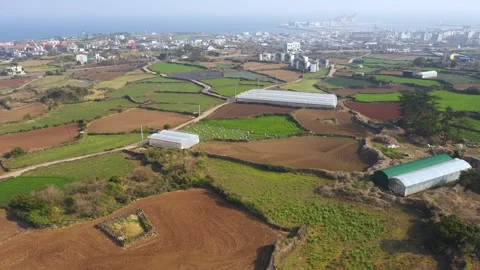 Aerial shot of fields, beach and seaside village,Jeju Island,South Korea Vídeos de archivo 245953641