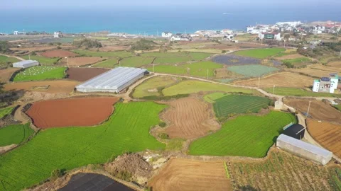 Aerial shot of fields, beach and seaside village,Jeju Island,South Korea Stock Footage 245953646