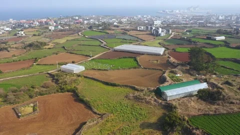 Aerial shot of fields, beach and seaside village,Jeju Island,South Korea Stock Footage 245953660