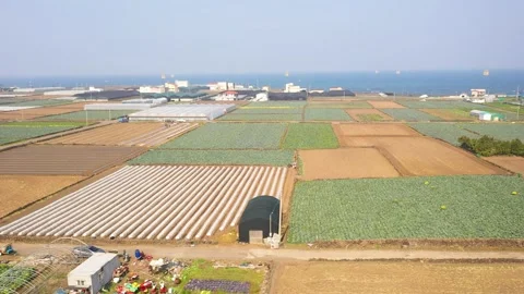 Aerial shot of fields, beach and seaside village,Jeju Island,South Korea Stock Footage 245953705