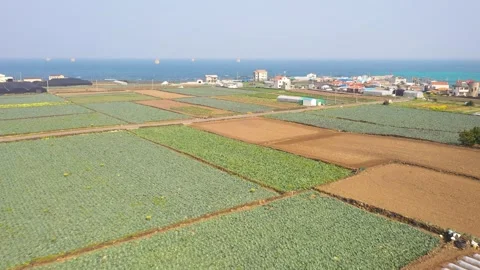 Aerial shot of fields, beach and seaside village,Jeju Island,South Korea Stock Footage 245953709