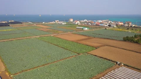 Aerial shot of fields, beach and seaside village,Jeju Island,South Korea Vídeos de archivo 245953722